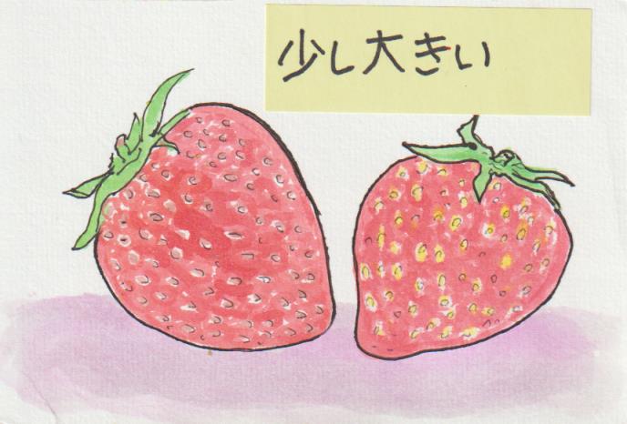 イチゴの書き方２