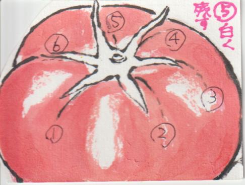 塗り残しとまと１