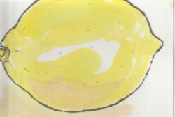 レモンの書き方例ー４に彩色した。